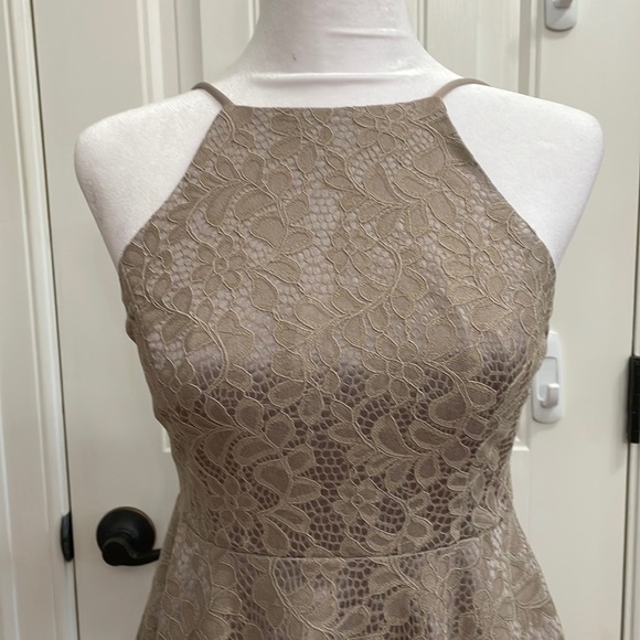 Windsor taupe lace dress.  S - Picture 2 of 7